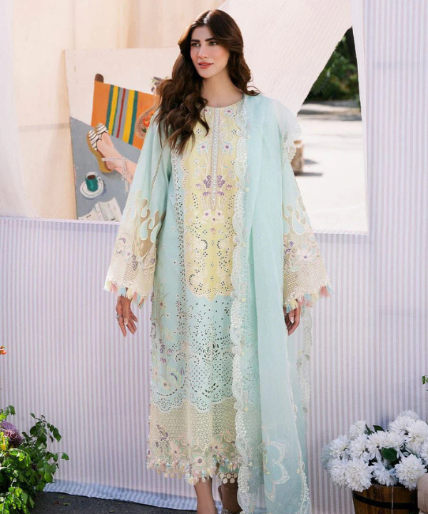 Bin Illyass Top Selling Lawn Collections